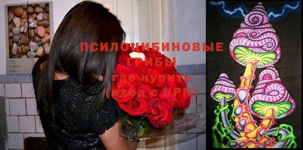 MDMA Premium VHQ Кодинск
