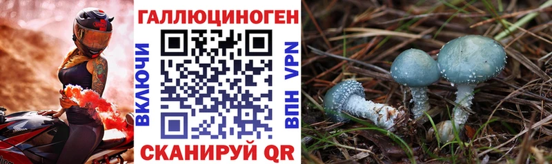 Купить где Воткинск Галлюциногенные грибы Psilocybe